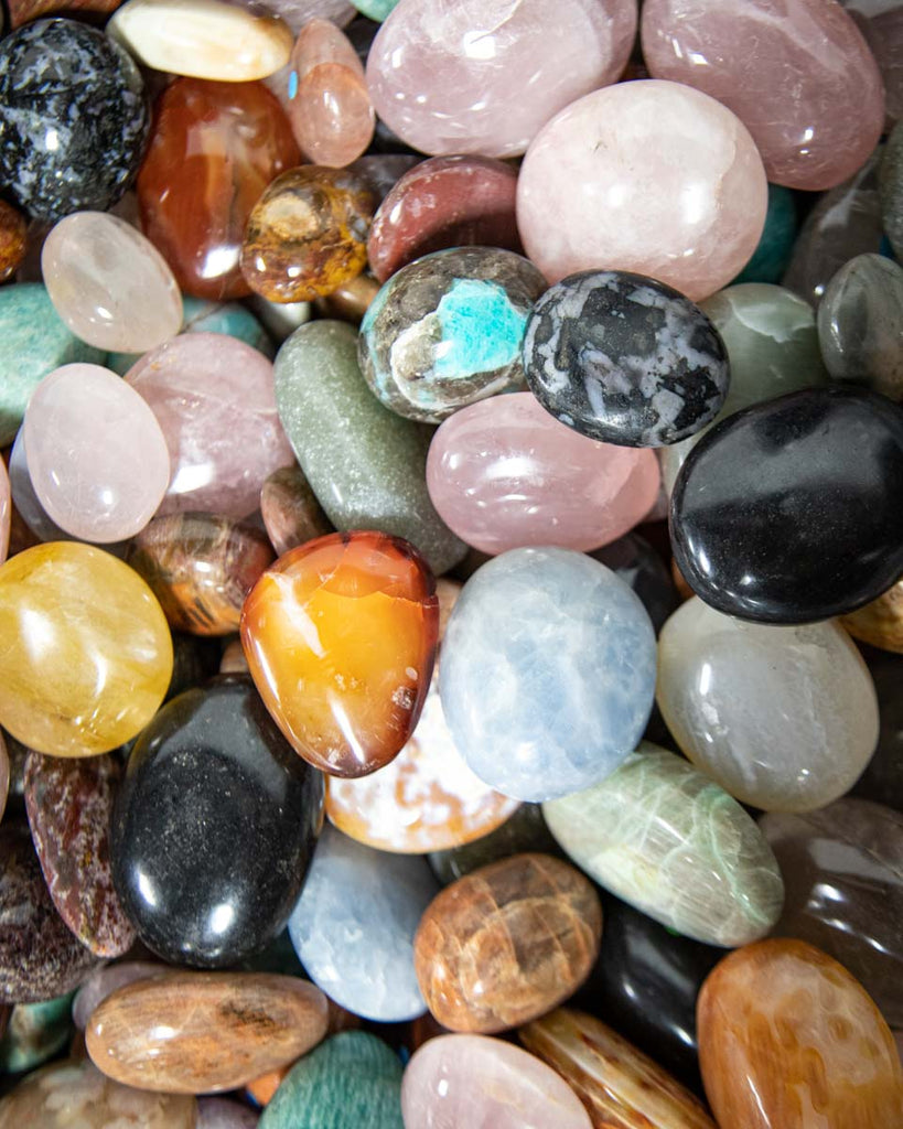 Assorted Palm Stones (Madagascar)