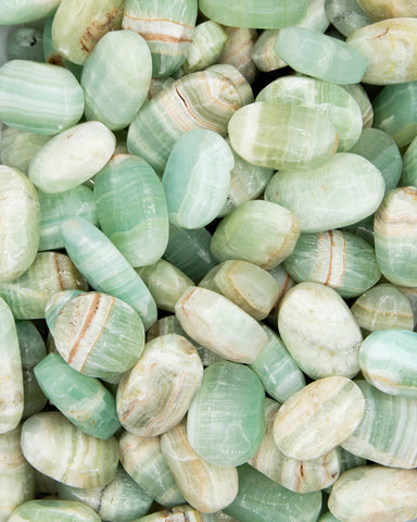 Caribbean Calcite Palm Stones (1 lb lot)