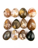 Large Polished Eggs - 12 pcs (#226256)