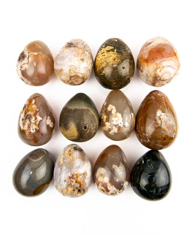 Large Polished Eggs - 12 pcs (#226256)