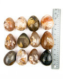 Large Polished Eggs - 12 pcs (#226256)