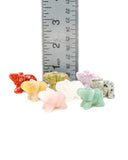 Elephant Carving (Assorted)