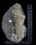 Zeolite Gyrolite Specimens - 1 pcs / 10.3 lb (#223611)