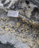 Zeolite Gyrolite Specimens - 1 pcs / 10.3 lb (#223611)