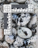 Rainbow Moonstone Palm Stones