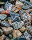 Tumbled Orbicular Jasper