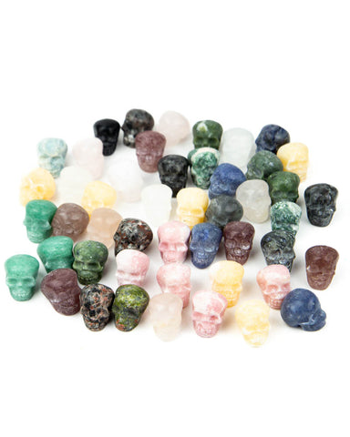 Mini Assorted Skull Carvings