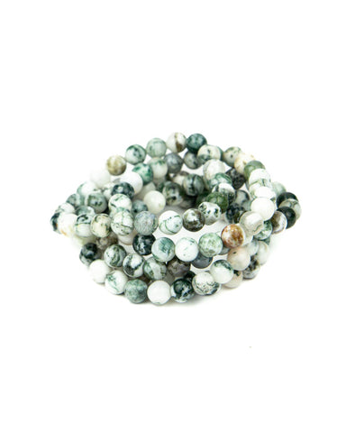 Tree Agate Bracelet - 8mm