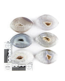 Agate Druzy Eyes - 6 pcs (#226045)