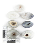 Agate Druzy Eyes - 7 pcs (#226046)