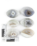 Agate Druzy Eyes - 6 pcs (#226047)