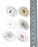 Agate Druzy Eyes - 6 pcs (#226644)