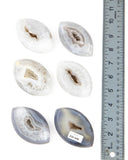 Agate Druzy Eyes - 6 pcs (#226646)