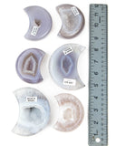 Agate Druzy Moons - 6 pcs (#226647)