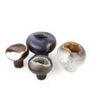 Polished Agate Druzy Mushrooms - 4 pcs (#255809)