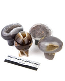 Polished Agate Druzy Mushrooms - 4 pcs (#255810)