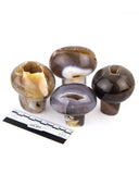 Polished Agate Druzy Mushrooms - 4 pcs (#255811)