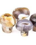 Polished Agate Druzy Mushrooms - 4 pcs (#255811)