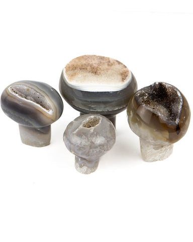 Polished Agate Druzy Mushrooms - 4 pcs (#255812)