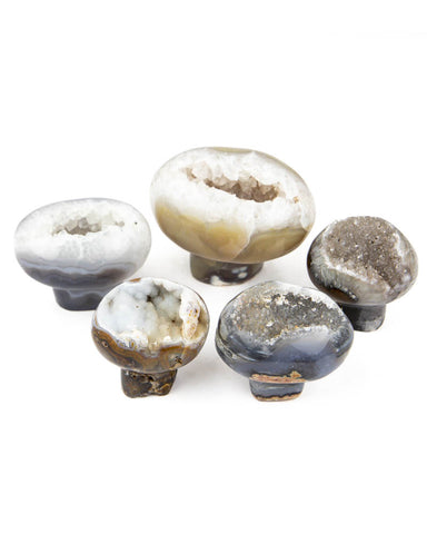 Agate Druzy Mushrooms - 5 pcs (#226648)