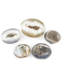 Agate Druzy Mushrooms - 5 pcs (#226648)