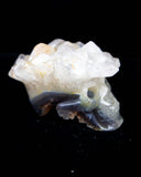 Agate Druzy Skull - 2.46 lb (#225699)