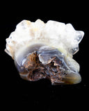 Agate Druzy Skull - 2.46 lb (#225699)