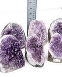 Cut Base Amethyst Druzy - 6 pcs (#226524)