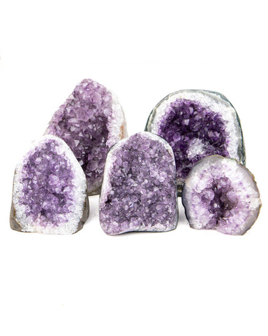Cut Base Amethyst Druzy - 5 pcs (#226525)