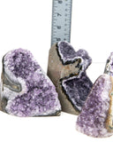 Cut Base Amethyst Druzy - 5 pcs (#226526)