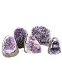 Cut Base Amethyst Druzy - 5 pcs (#226528)