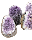 Cut Base Amethyst Druzy - 5 pcs (#226528)