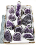 Amethyst Druzy Cut Base - 12 pcs (#226681)