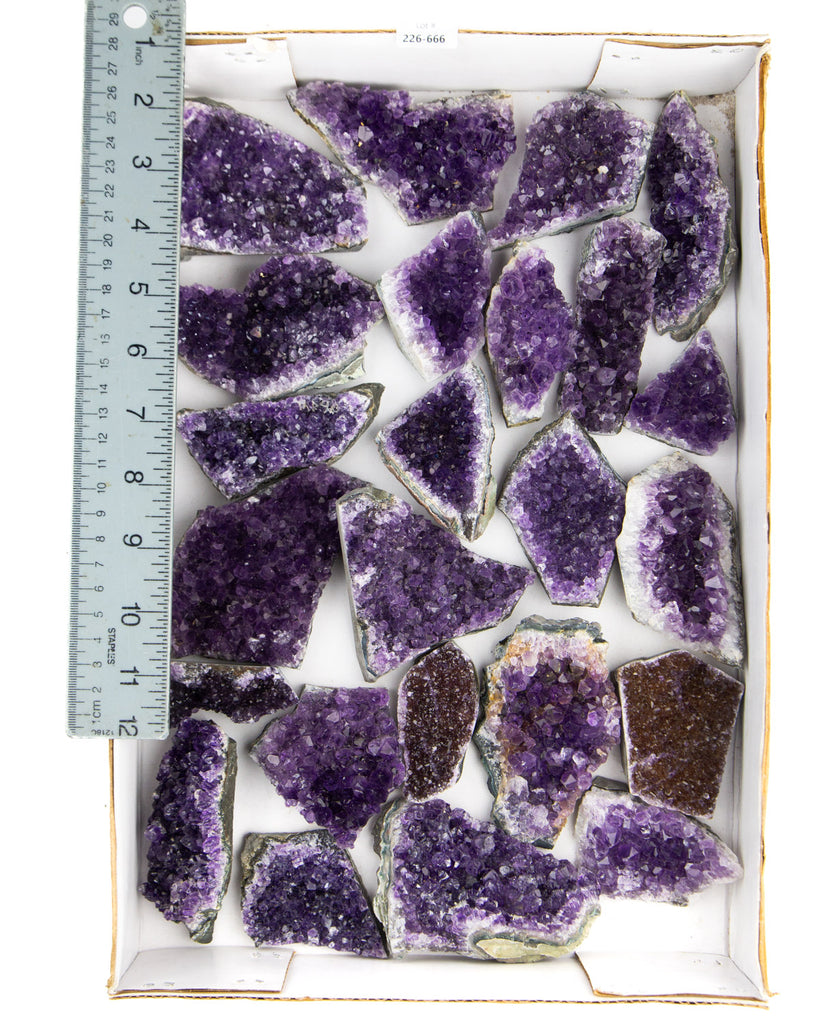 Uruguayan Amethyst Druzy - 24 pcs (#226666)
