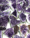 Uruguayan Amethyst Druzy - 24 pcs (#226666)