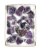 Uruguayan Amethyst Druzy Flat - 23 pcs (#225958)