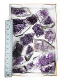 Amethyst Druzy - 17 pcs (#226685)