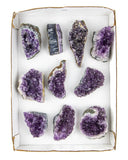 Uruguayan Amethyst Druzy - 10 pcs (#226011)