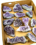 Uruguayan Amethyst Druzy - 15 pcs (#226013)