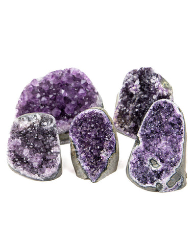 Polished Cut Base Amethyst Druzy - 5 pcs (#226006)