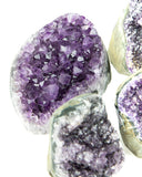 Polished Cut Base Amethyst Druzy - 5 pcs (#226006)