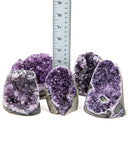 Polished Cut Base Amethyst Druzy - 5 pcs (#226006)