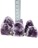 Polished Cut Base Amethyst Druzy - 6 pcs (#226007)