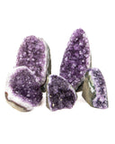 Polished Cut Base Amethyst Druzy - 5 pcs (#226008)