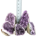 Polished Cut Base Amethyst Druzy - 5 pcs (#226008)