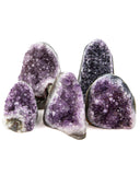 Polished Cut Base Amethyst Druzy - 5 pcs (#226009)