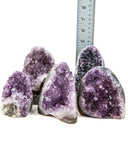 Polished Cut Base Amethyst Druzy - 5 pcs (#226009)