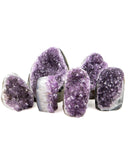 Polished Cut Base Amethyst Druzy - 6 pcs (#226010)