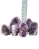 Polished Cut Base Amethyst Druzy - 6 pcs (#226010)