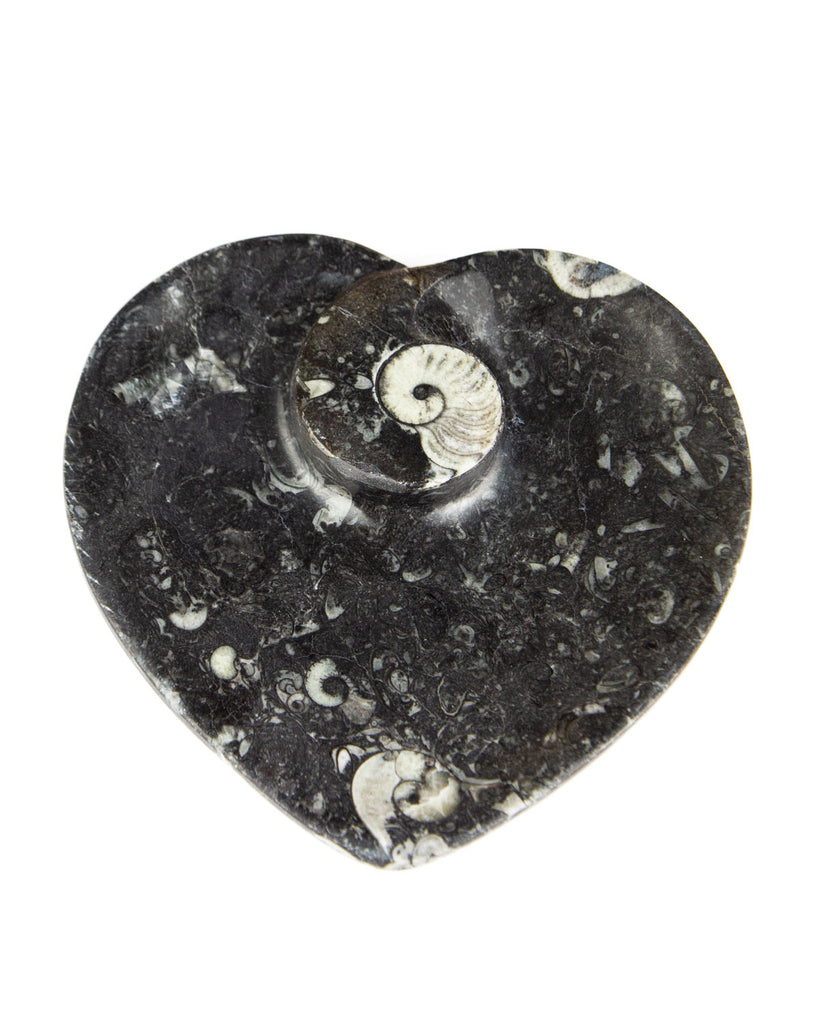 Ammonite Fossil Dish (Heart)